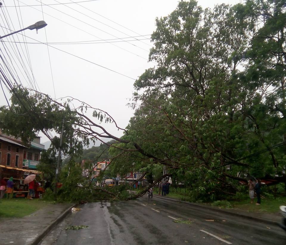 पोखरामा हावाहुरी, ठाउँ ठाउँमा रुख ढल्यो