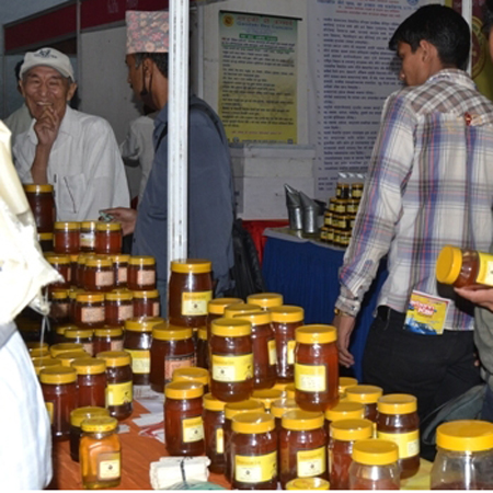 महको महत्व बुझाउने उद्देश्यले काठमाडौंमा दोस्रो मह महोत्सव