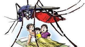 डेङ्गु ज्वरोबाट पर्सामा चार महिलासहित १२ जना प्रभावित