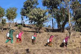 नेपालीलाई जीवन धान्न भारतीय पानीको भर, पानी लिन वडाध्यक्ष नै भारततिर