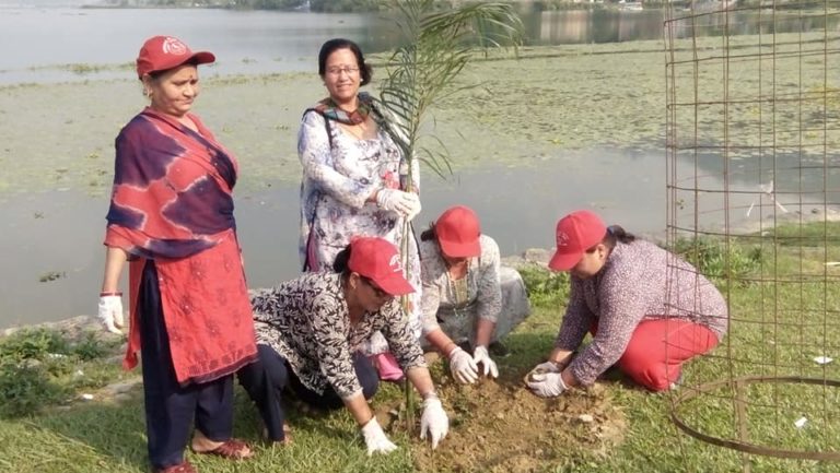 फेवाताल किनारमा वृक्षरोपण