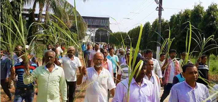 उखु किसान फेरी ठगिए : निर्धारित समयमा पुरा भुक्तानी पाएनन, सरकारले पनि अनुदान बाँडेन