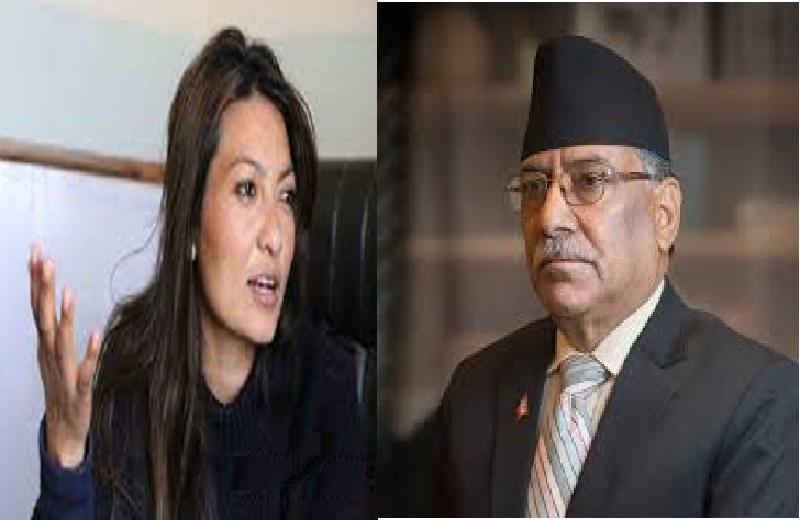 प्रचण्ड र नविना लामाको हैसियत अनि दलाल संसदीय ब्यबस्था : प्रज्ज्वल श्रेष्ठ