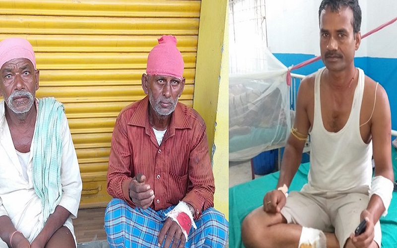 सत्तारुढ नेकपा र नेपाली कांग्रेसका कार्यकर्ताबीच झडप, गोली चल्दा १२ घाइते, गोली चलाउने एक पक्राउ
