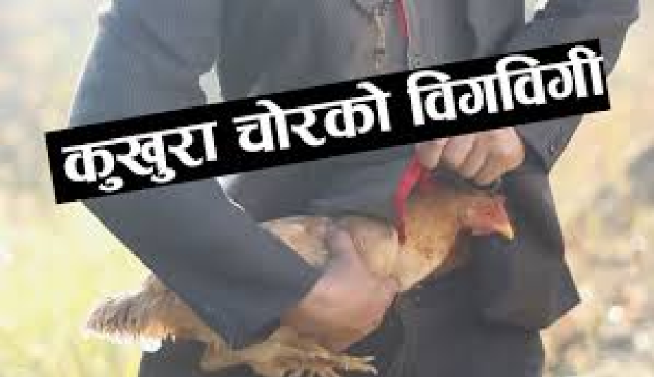 कुखुरा चोर्न गएको आरोप लगाउदै कुटपिट गरिएका युवकको मृत्यु, बाबुछोरा पक्राउ