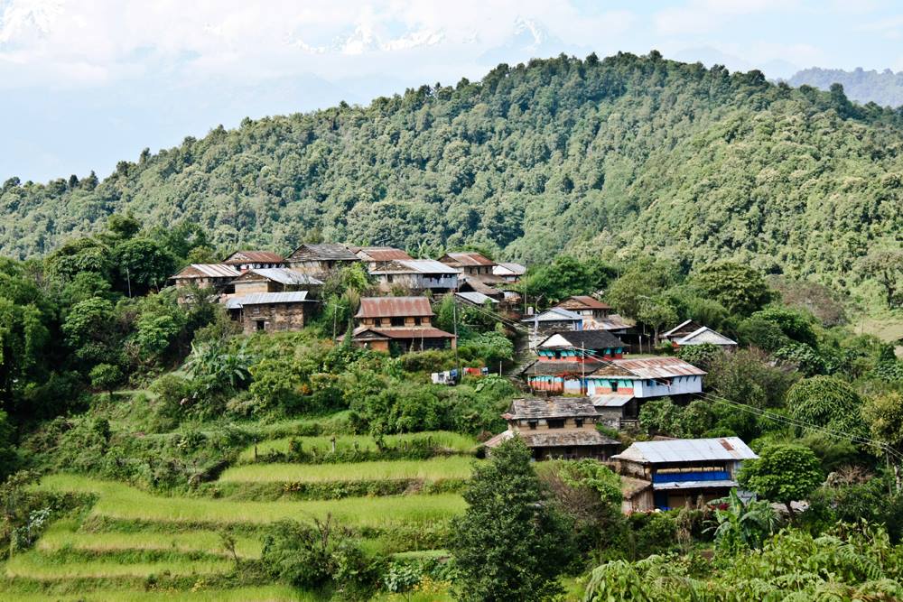 लमजुङ राइनासकोट होमस्टे घुम्न आउने आन्तरिक पर्यटकको सङ्ख्या वृद्धि हुँदै