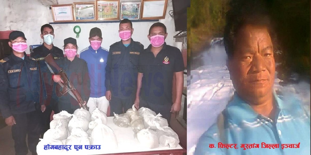 बिद्रोही ने.क.पा.का मुस्ताङ जिल्ला इन्चार्ज फिल्टर म्याग्दीबाट पकाउ,  म्याग्दीको रुमबाटै झन्डै १३ किलो गाँजा बरामद
