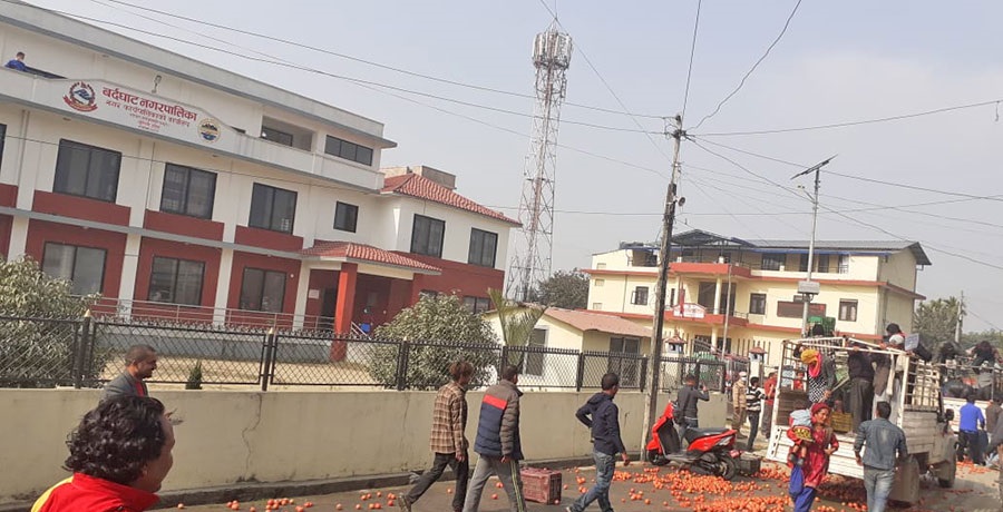 बजार नपाएको भन्दै किसानहरुले बर्दघाट नगरपालिका परिसरभित्रै गोलभेडा फालेर बिरोध गरे