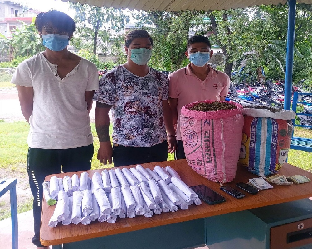 पोखराको बुद्धचोकस्थित गोरखा मनकामना नर्सरीबाट साढे आठ किलो गाँ’जा सहित तीन जना प’क्राउ