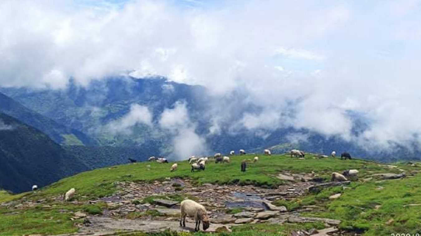 कुशे हिमालमुनि हावाहु’रीले बेप’त्ता बनाएका सातै जना कठ्या’ङ्ग्रिएको अव’स्था’मा भे’टिए, ८२ पशुचाैपाय म’रे