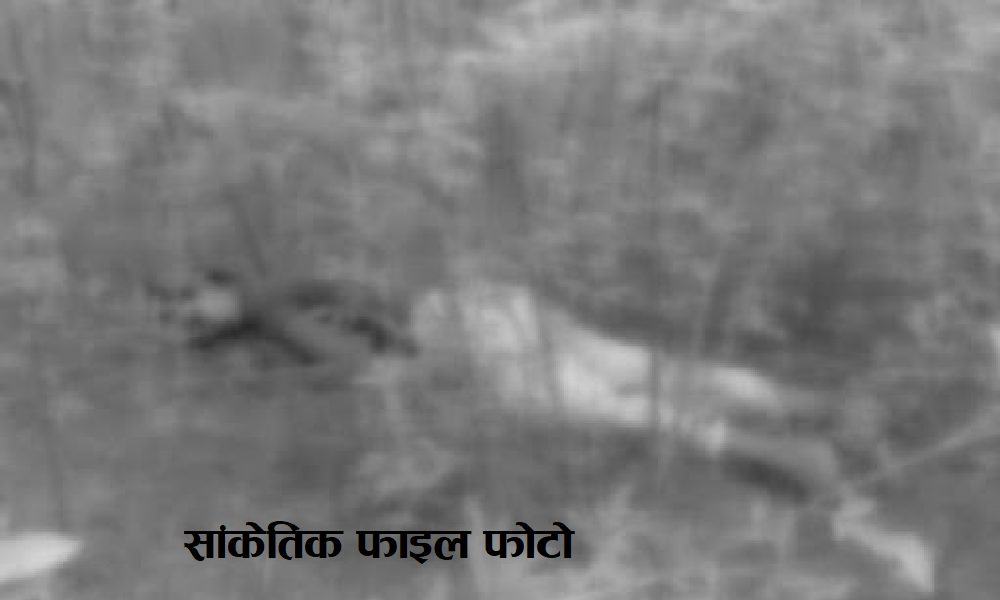 मृत केटी