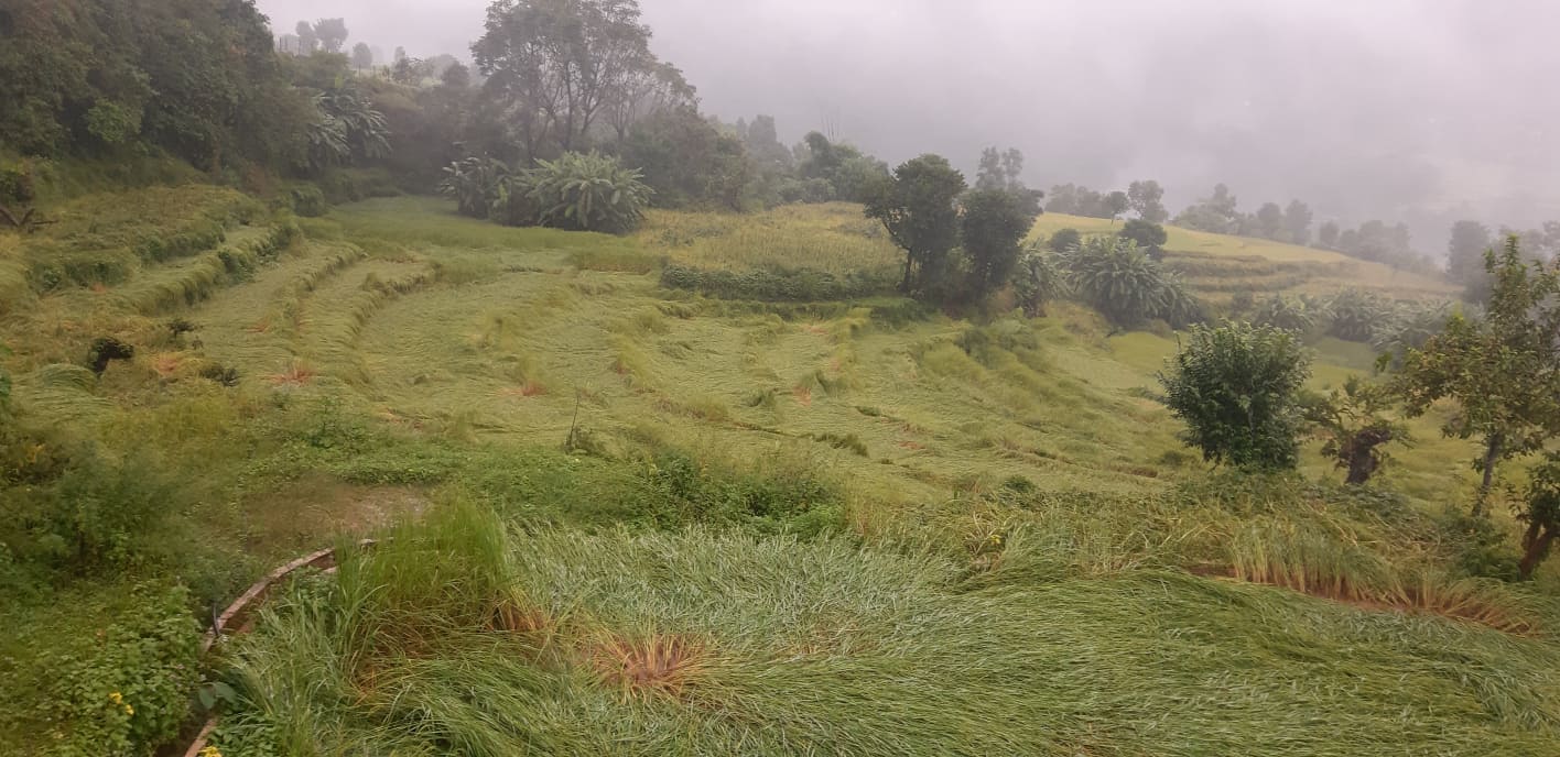 निरन्तर बर्षा : बालीनालीमा क्ष’ति , सडक अब’रुद्द