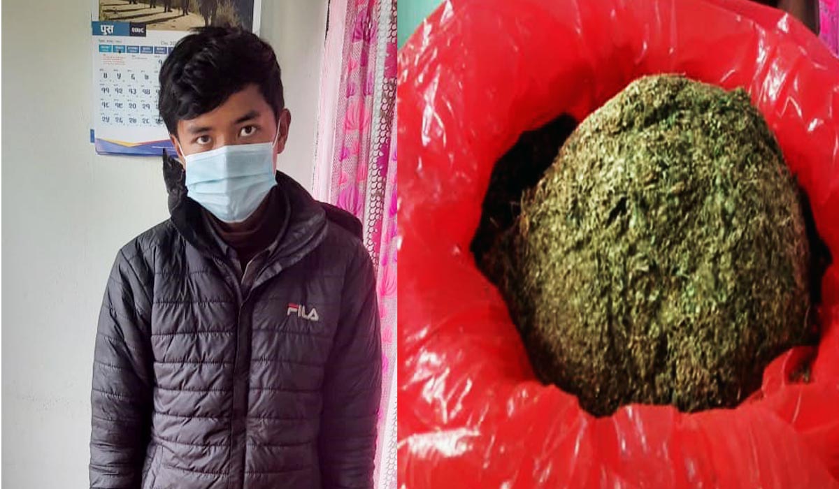 झन्डै पौने तीन किलो गाँजासहित पोखराबाट एक युवा पक्राउ