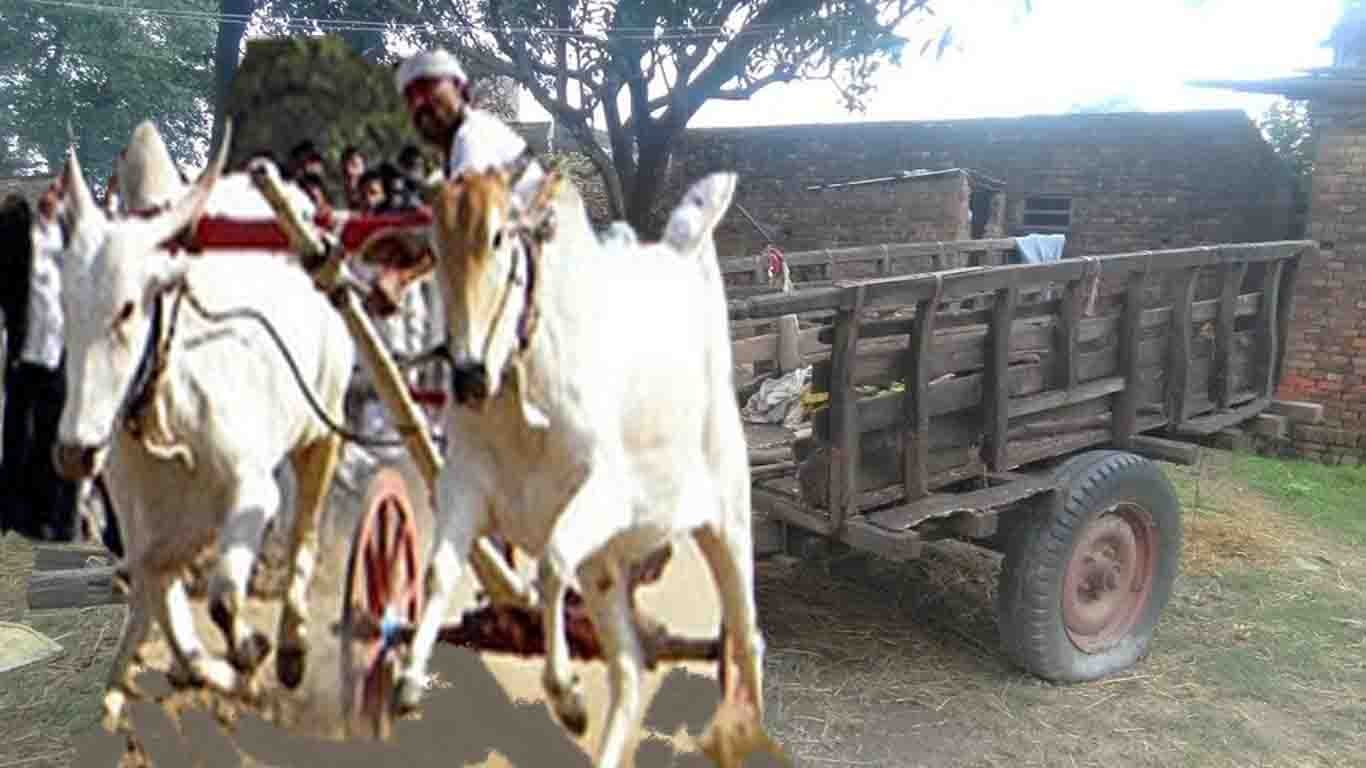 गोरुगाडा पल्टिदा कैलालीमा एक महिलाको मृत्यु