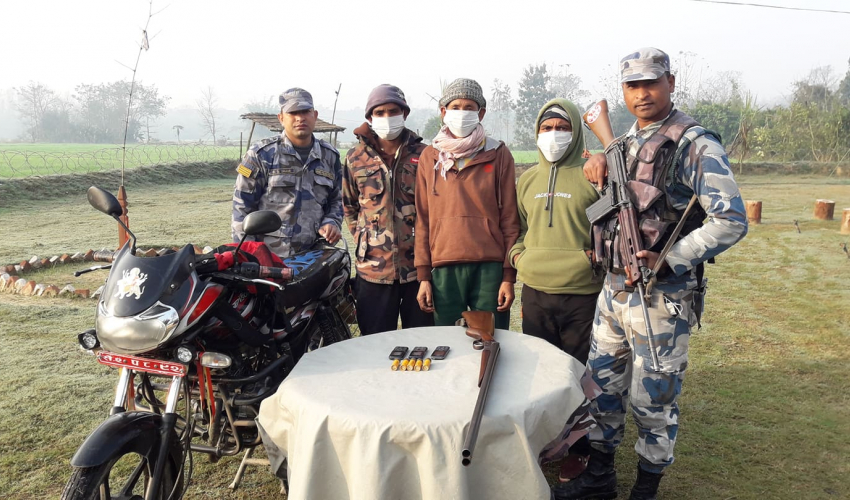 सशस्त्र प्रहरीले बन्दुकसहित कैलालीमा तीन जनालाई पक्राउ गर्यो