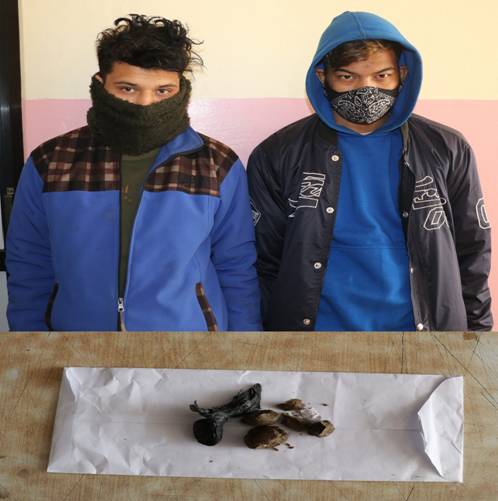 पोखराको लेकसाइडबाट अबैध लागू औषध ब्राउनसुगरसहित दुई जना पक्राउ
