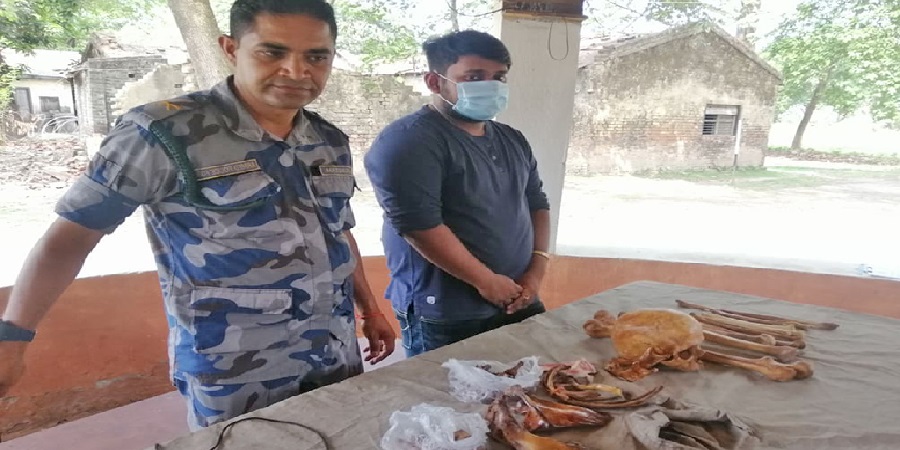 मानव कंकालसहित वीपी कोइराला स्वास्थ्य विज्ञान प्रतिष्ठानका बिद्यार्थी  नेपाल-भारत सीमाबाट पक्राउ