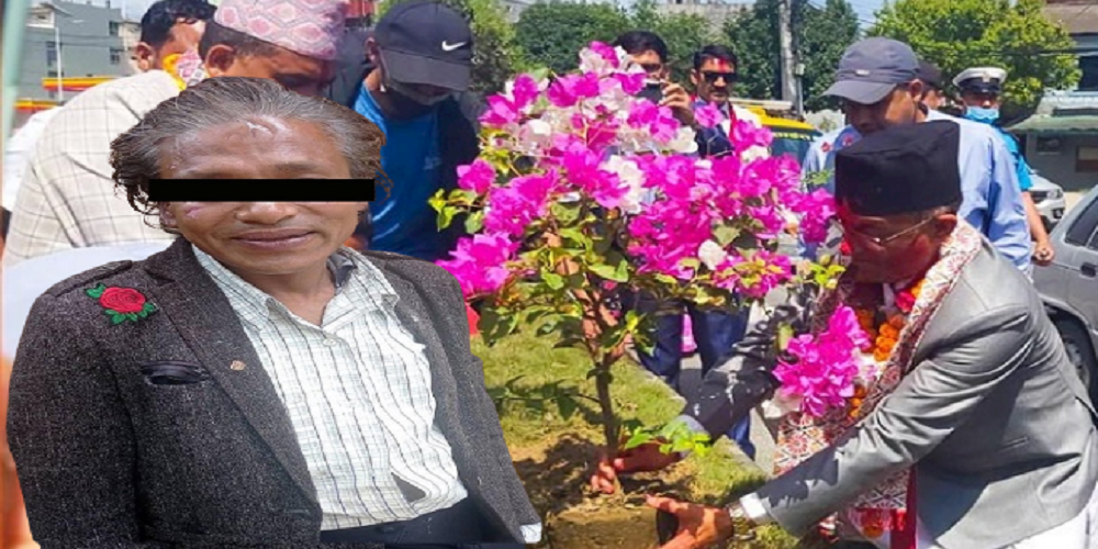 पोखराका नवनिर्वाचित मेयर आचार्यले रोपेको फूल चोर्ने व्यक्ति फ़ूलसहित पक्राउ