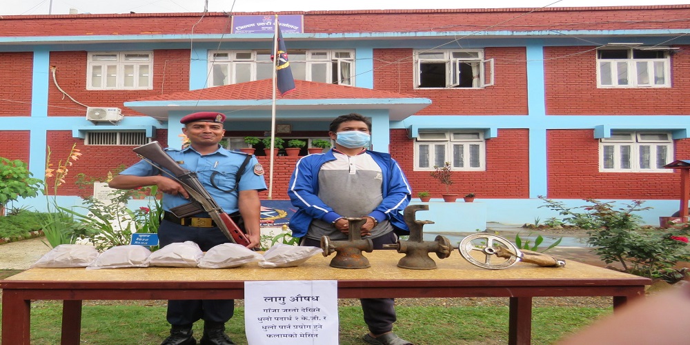 दुईकिलॊ धुलो गाँजा र गाँजा धुलो बनाउने मेशिनसहित बागलुङबाट गिरी पक्राउ