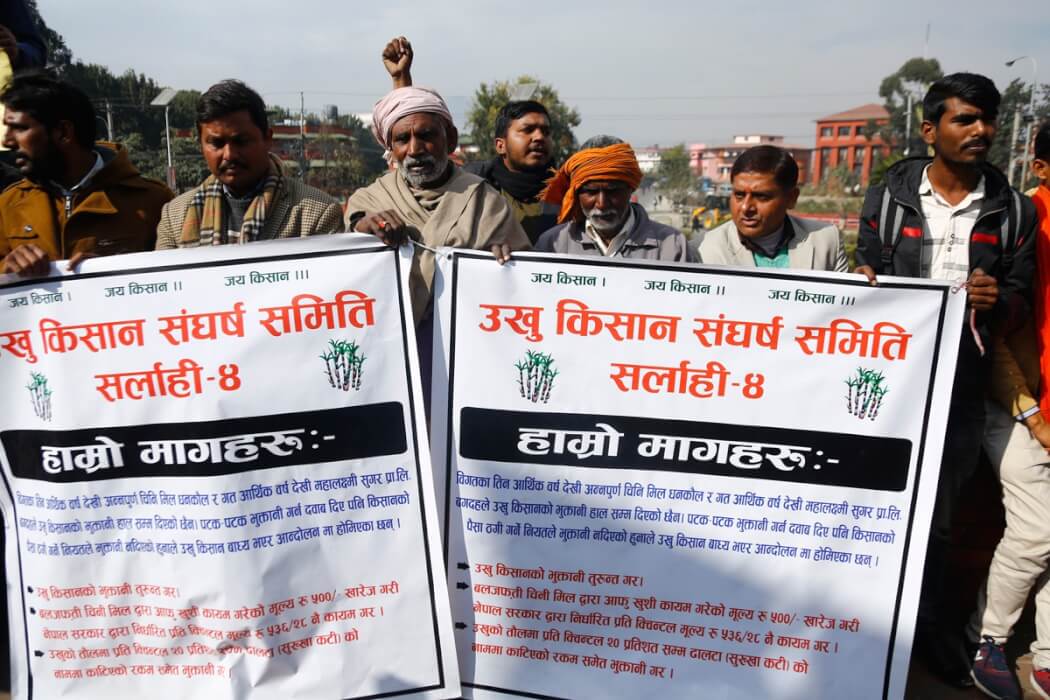 एक वर्षदेखि भुक्तानी नपाएपछि छठको मुखमा महालक्ष्मी सुगर मिलबिरुद्ध उखु उत्पादक किसानहरु आन्दोलनमा उत्रिए