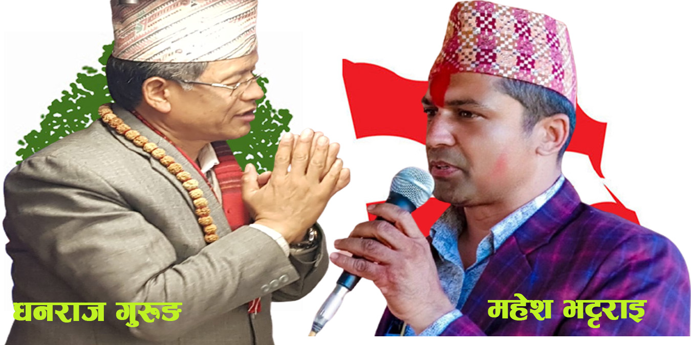 स्याङ्जा २ बाट प्रतिनिधिसभा सदस्यमा नेपाली कांग्रेसका उपसभापति धनराज गुरुङ निर्वाचित