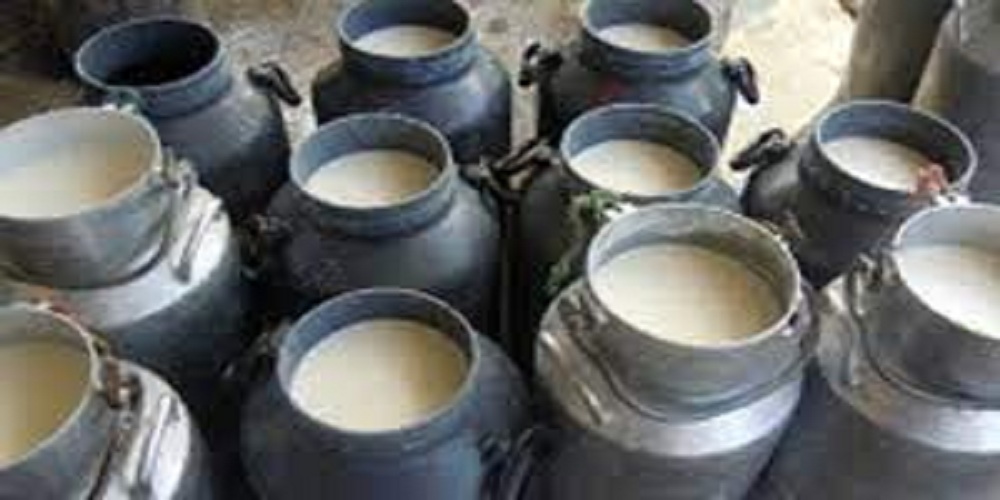 दाना चोक्करमा मूल्य भएपछी दुधको पनि १० रुपियाँ बढाउँदै किसान