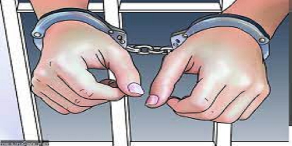गाई काटेको आरोपमा तीन महिला र एक पुरुष पक्राउ