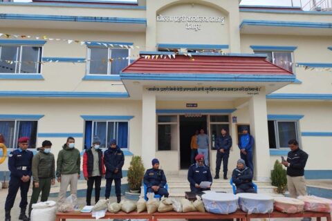 बझाङस्थित गोरखाली गाउँमा सञ्चालित गाँजा प्रशोधन केन्द्रमा प्रहरीले छापा मार्यो : ९१ किलो गाँजासहित तीन जना पक्राउ