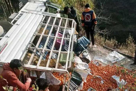 पोखरा ल्याइदै गरेको सुन्तला बोकेको जिप सल्यानमा दुर्घटनाग्रस्त : जिप चालक तनहुँका बिकको मृत्यु