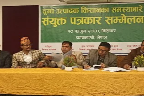 सिंहदरबारभित्रै गाईभैंसी बाँधेर आन्दोलन गर्ने दुध उत्पादक किसानहरुको  चेतावनी