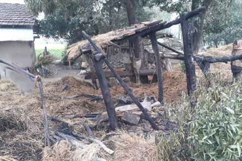 बालकले लाइटर बाल्दा घरटहरामा आगलागी : पांच वर्षीय बालकको मृत्यु
