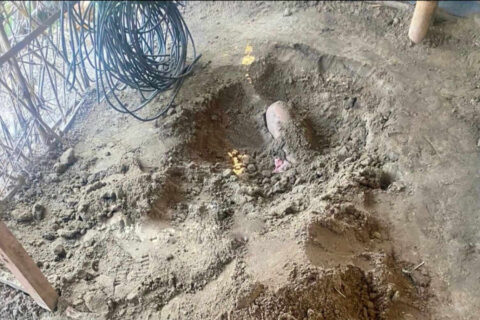 पैसा नदिए पछि शिवरात्रीको दिन हजुरआमाको हत्या : गाडेको अवस्थामा भेटियो शब
