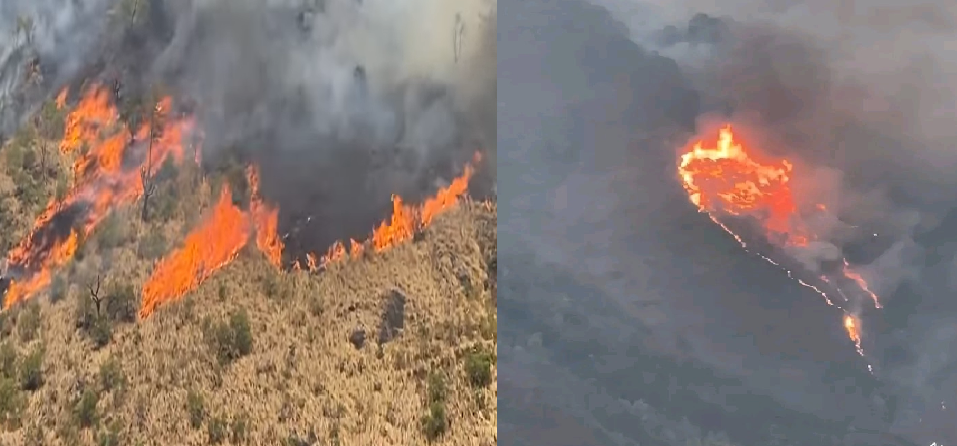 गुल्मीको सामुदायिक वनमा आगलागी