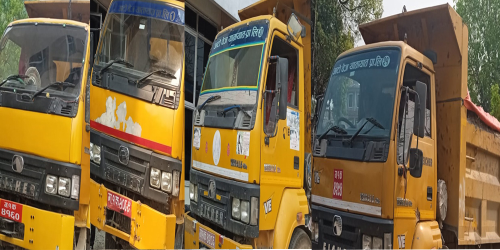 बिना इजाजत माटो बोकेका ट्रिपर
