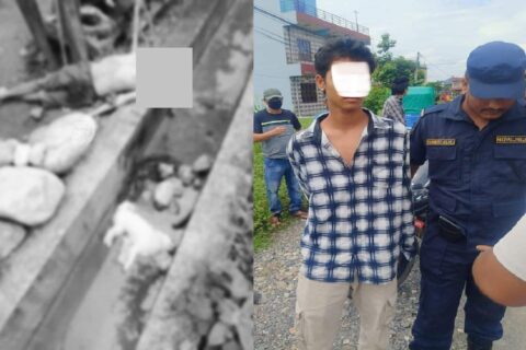 बाबुले कुकुर मारिदिएपछि कावासोतीमा रक्सीले मातेका बाबुलाई आफ्नै छोराले हत्या गरे