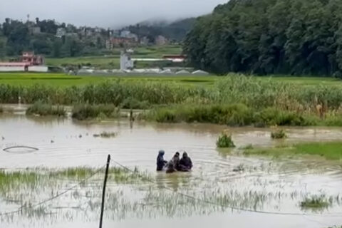 काभ्रेको ढलमा बेपत्ता महिला मृत भेटिइन्