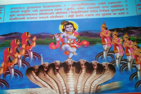आज नाग पन्चमी : नागको पूजा गरेर पर्व मनाइदै