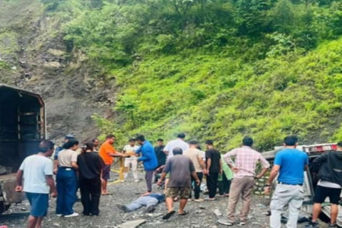 काठमाडौँबाट वीरगन्ज जाँदै गरेको सुमो सिस्नेरीमा पल्टियो, १० जना घाइते