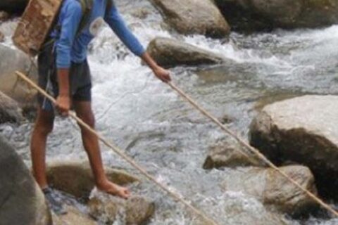 खोलामा करेन्ट लगाएर माछा मार्ने जनप्रतिनिधिसहित पांच जना स्याङजाबाट पक्राउ