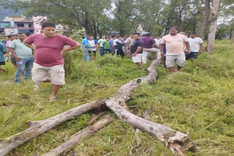 तनहुँको भिमादमा रुख काट्ने क्रममा च्यापिएर एक जनाको मृत्यु