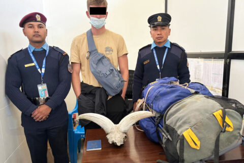 घोरलको सिङसहित युक्रेनी नागरिक पोखरा अन्तरराष्ट्रिय विमानस्थलबाट पक्राउ
