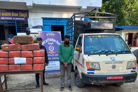 पिकअप गाडीमा लोड गरिएको एकसय ८९ किलो गाँजासहित सिन्धुलीबाट एक जना चालक पक्राउ