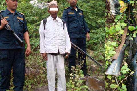 दुई नाल भरुवा बन्दुक र बिष्फोटक पदार्थ बारुदसहित कैलालीबाट एक जना बृद्ध पक्राउ