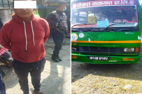 रक्सी खाएर कारमा नगरबस ठोक्काउने चालक नगरबससहित पोखरामा पक्राउ