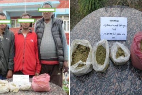 बेच्दै गर्दा डेढ किलो गाँजासहित पक्राउ परे बागलुङ गल्कोटका तीन जना