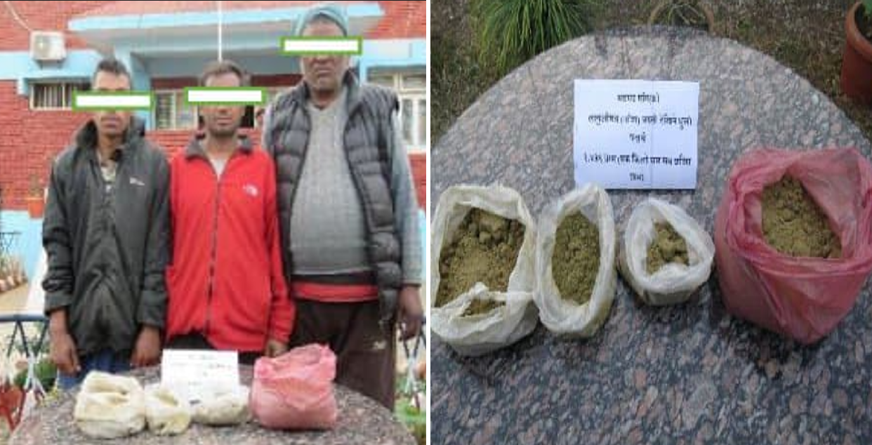 गाँजासहित बागलुङ गल्कोटका तीन युवा