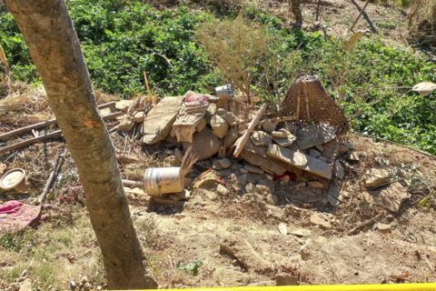 गुल्मीमा गएराती एक युवाले बाबुको हत्या गरी खाल्डोमा गाडेर छाडे