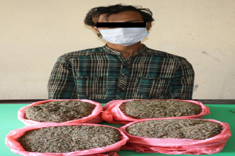 पोखरा ल्याइदै गरेको चार किलो गाँजासहित चौधरी समातिए