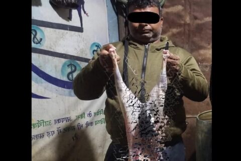 खसीको “अण्डकोष” टाँसेर बाख्रीको मासु बेच्ने फ्रेस हाउस संचालक पक्राउ