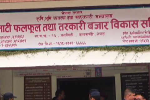 काठमाण्डौको कालीमाटी तरकारी बजारमा मजदुरको हत्या : छ जना पक्राउ